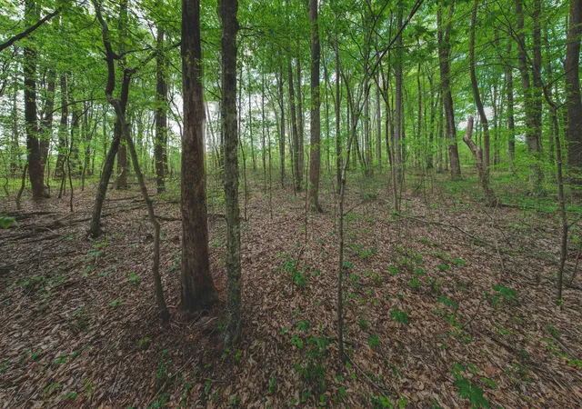 4th image of 2Ac Barry Ln, Nancy, KY 42544 | MLS# 26009894