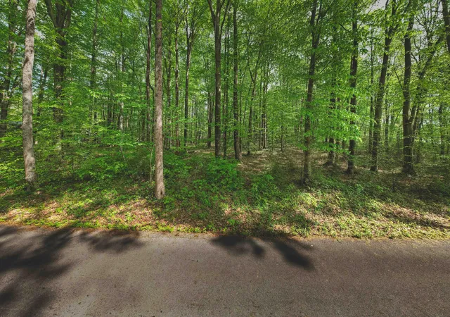 Homes for sale in Nancy, KY | 2ac Barry Ln, Nancy, KY 42544 | MLS# 26009894