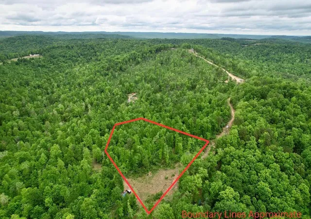 Homes for sale in Monticello, KY | 22 Buck Run Ridge Road, Monticello, KY 42633 | MLS# 26010235