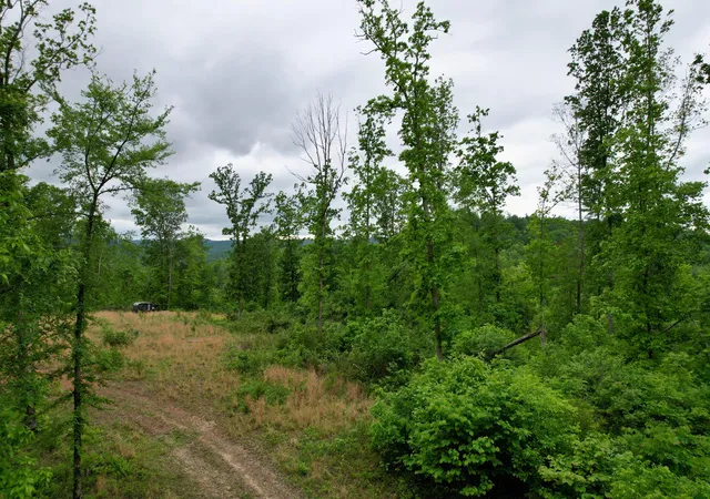 Homes for sale in Monticello, KY | 22 Buck Run Ridge Road, Monticello, KY 42633 | MLS# 26010235
