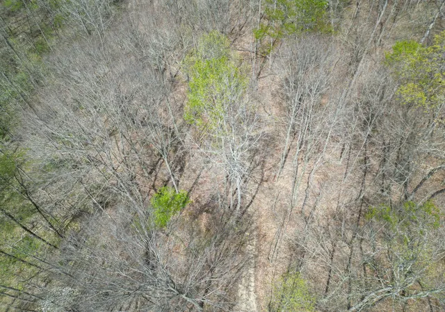 Photo 3 of Land for sale at 9999 Lot Mud Crk Rd, Williamsburg, KY 40769 | MLS# 26010256 | Listing updated on 2026-05-08