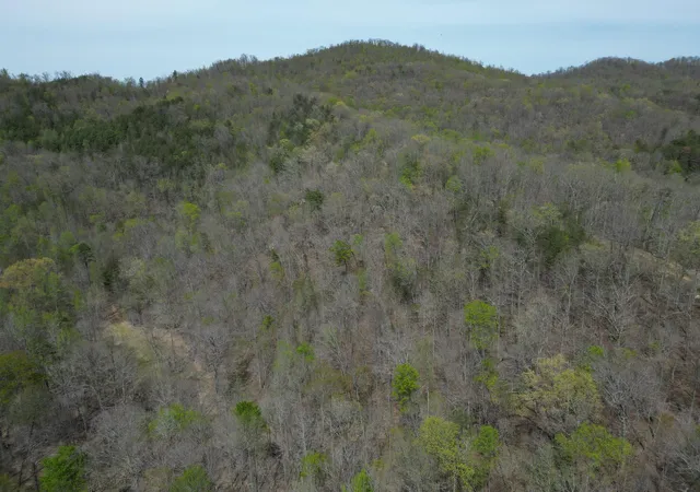 Photo 3 of Land for sale at 9999 Lot Mud Crk Rd, Williamsburg, KY 40769 | MLS# 26010256 | Listing updated on 2026-05-08