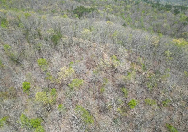 Photo 4 of Land for sale at 9999 Lot Mud Crk Rd, Williamsburg, KY 40769 | MLS# 26010256 | Listing updated on 2026-05-08