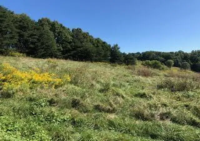 Homes for sale in Monticello, KY | 14 Lakepoint View Rd, Monticello, KY 42633 | MLS# 26010269