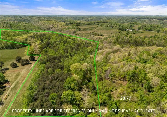 Photo 3 of Land for sale at 999 Watt Nantz Rd, East Bernstadt, KY 40729 | MLS# 26010290 | Listing updated on 2026-05-11