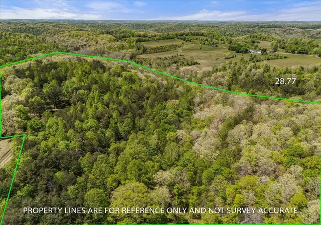 Photo 3 of Land for sale at 999 Watt Nantz Rd, East Bernstadt, KY 40729 | MLS# 26010290 | Listing updated on 2026-05-11
