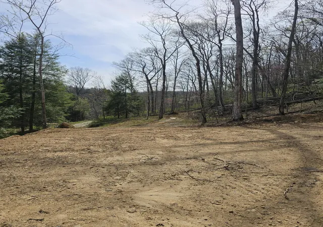 Photo 3 of Land for sale at 9999 490 Highway, East Bernstadt, KY 40729 | MLS# 26010300 | Listing updated on 2026-10-22