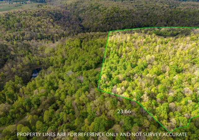 Homes for sale in East Bernstadt, KY | 9999 Watt Nantz Rd, East Bernstadt, KY 40729 | MLS# 26010313