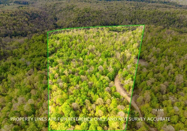 Homes for sale in East Bernstadt, KY | 9999 Watt Nantz Rd, East Bernstadt, KY 40729 | MLS# 26010313