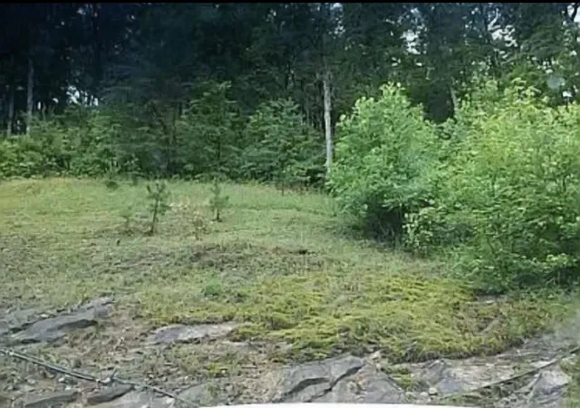 Photo 3 of Land for sale at 36 US Hwy 119, Pineville, KY 40977 | MLS# 26010513 | Listing updated on 2026-07-23