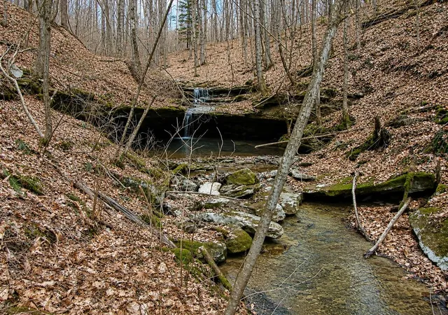 Photo 4 of Land for sale at 500 Hail Brg Rd, Somerset, KY 42501 | MLS# 26010678 | Listing updated on 2026-07-15