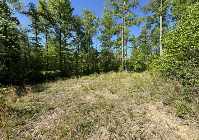 Homes for sale in Mc Kee, KY | 999 Martin School Rd, Mc Kee, KY 40447 | MLS# 26010792