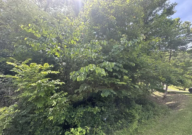 Photo 3 of Land for sale at Lots 26 27 Richmond Hl Ests, Van Lear, KY 41265 | MLS# 26010877 | Listing updated on 2026-06-08