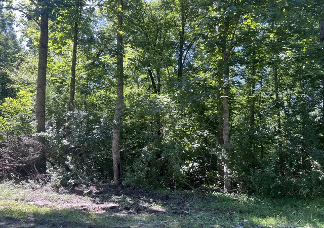 Photo 10 of Land for sale at 000 Mill Crk Rd, Pineville, KY 40977 | MLS# 26010965 | Listing updated on 2026-08-06