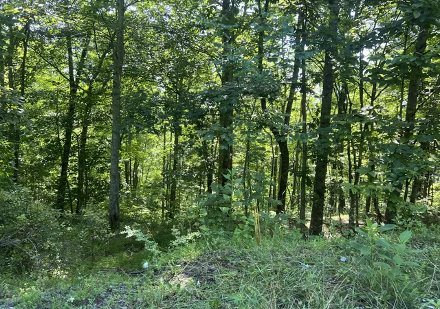 Photo 1 of Land for sale at 000 Mill Crk Rd, Pineville, KY 40977 | MLS# 26010965 | Listing updated on 2026-08-06