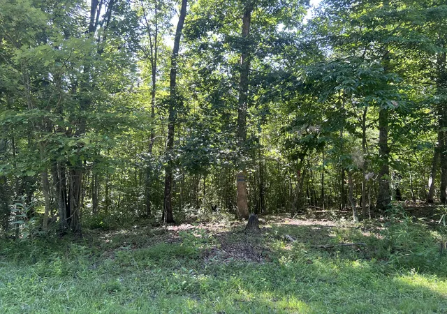 Photo 2 of Land for sale at 000 Mill Crk Rd, Pineville, KY 40977 | MLS# 26010965 | Listing updated on 2026-08-06