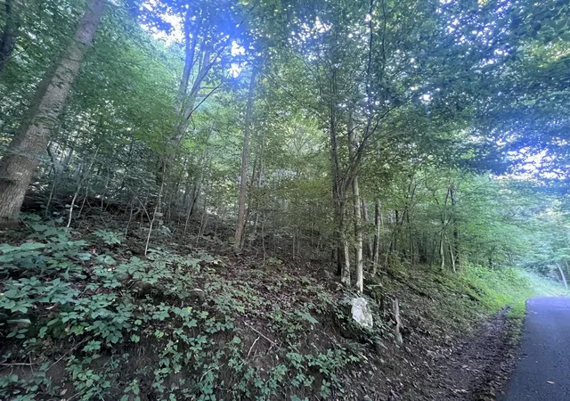 Photo 3 of Land for sale at 000 Mill Crk Rd, Pineville, KY 40977 | MLS# 26010965 | Listing updated on 2026-08-06