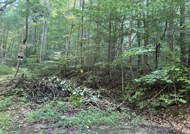 Photo 3 of Land for sale at 000 Mill Crk Rd, Pineville, KY 40977 | MLS# 26010965 | Listing updated on 2026-08-06