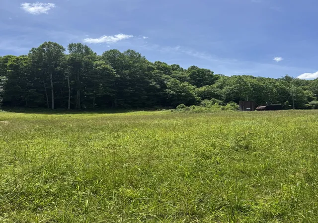 3rd image of 2240 Patty Ridge Rd, Russell Springs, KY 42642 | MLS# 26014445