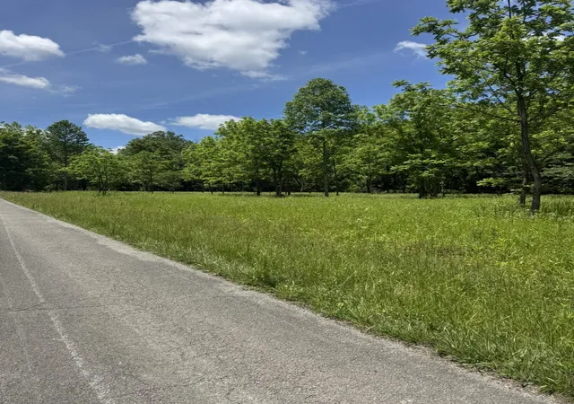 4th image of 2240 Patty Ridge Rd, Russell Springs, KY 42642 | MLS# 26014445