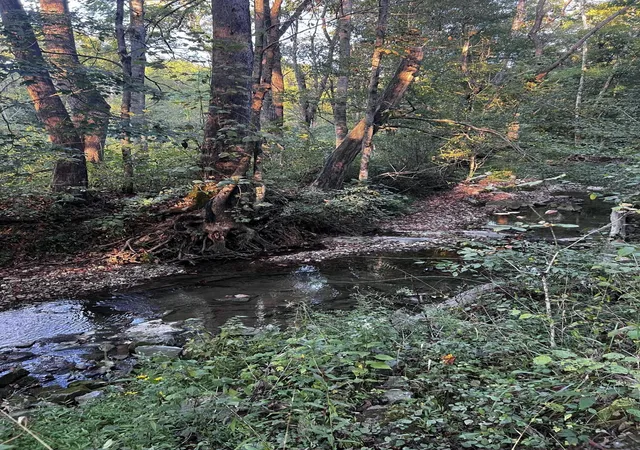 5th image of 2240 Patty Ridge Rd, Russell Springs, KY 42642 | MLS# 26014445