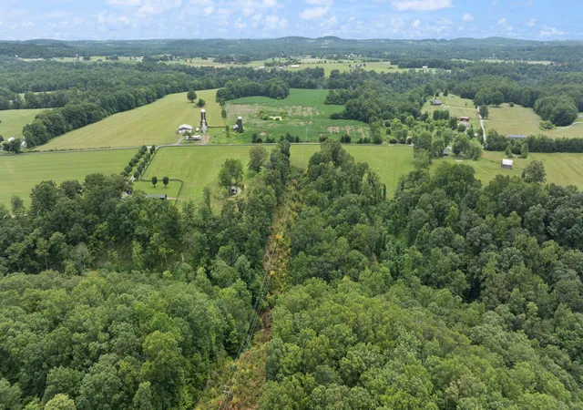 Homes for sale in Nancy, KY | 137 Acres Flatwoods Rd, Nancy, KY 42544 | MLS# 26011181
