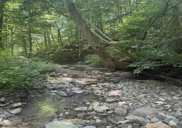 Photo 4 of Land for sale at 1491 Acres Flatwoods Rd, Nancy, KY 42544 | MLS# 26011181 | Listing updated on 2026-08-01