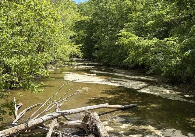 1st image of 4570 Pointer Creek Rd, Nancy, KY 42544 | MLS# 26011170