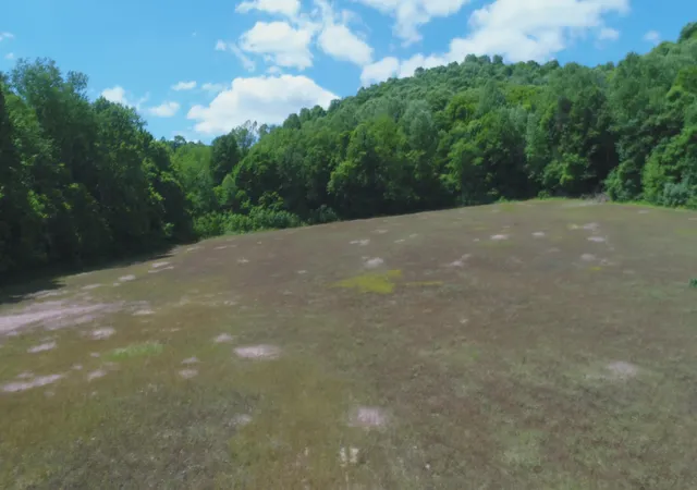 3rd image of 4570 Pointer Creek Rd, Nancy, KY 42544 | MLS# 26011170