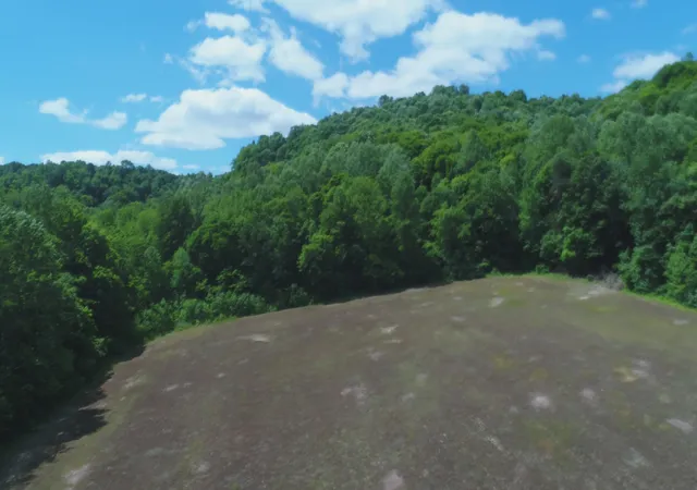 4th image of 4570 Pointer Creek Rd, Nancy, KY 42544 | MLS# 26011170