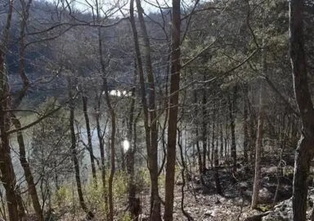 Photo 1 of Land for sale at 4100 Omega Park Rd, Somerset, KY 42501 | MLS# 26011191 | Listing updated on 2026-09-21