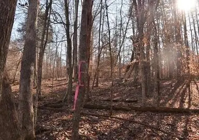 Photo 3 of Land for sale at 4100 Omega Park Rd, Somerset, KY 42501 | MLS# 26011191 | Listing updated on 2026-09-21