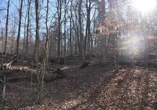 Photo 3 of Land for sale at 4100 Omega Park Rd, Somerset, KY 42501 | MLS# 26011191 | Listing updated on 2026-09-21