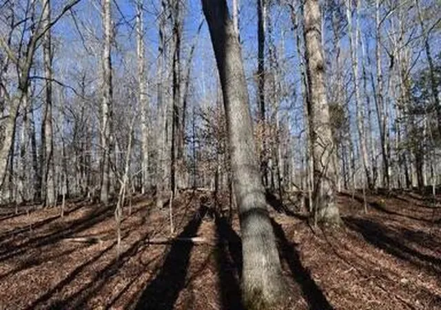 Photo 4 of Land for sale at 4100 Omega Park Rd, Somerset, KY 42501 | MLS# 26011191 | Listing updated on 2026-09-21