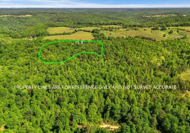 2nd image of 2222 Watt Nantz Rd, East Bernstadt, KY 40729 | MLS# 26011372