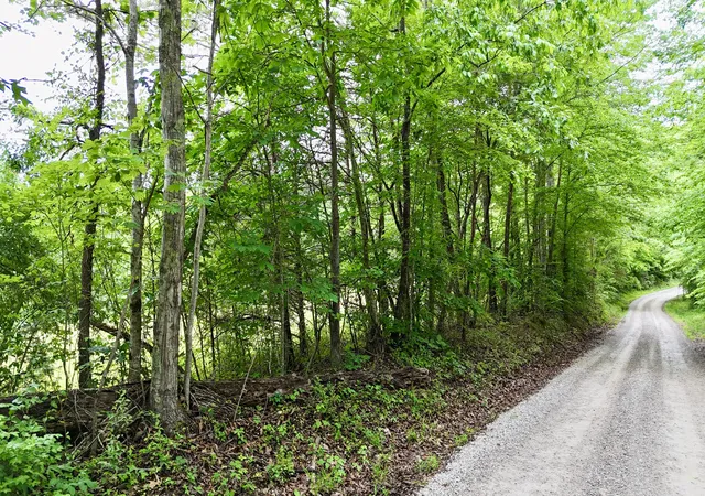 Homes for sale in Corbin, KY | 9999 Auger Springs Rd, Corbin, KY 40701 | MLS# 26011662