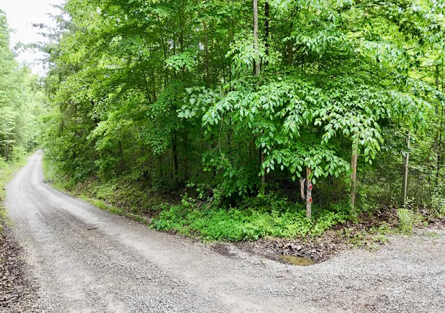 Homes for sale in Corbin, KY | 9990 Auger Springs Rd, Corbin, KY 40701 | MLS# 26011659