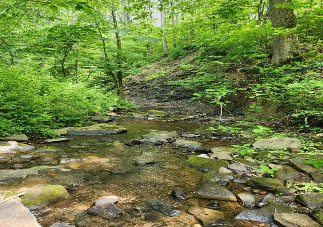 Photo 1 of Land for sale at Tbd Mount Zion Church Rd, East Bernstadt, KY 40729 | MLS# 26011419 | Listing updated on 2026-10-19