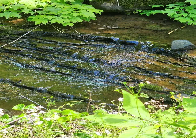 Photo 2 of Land for sale at Tbd Mount Zion Church Rd, East Bernstadt, KY 40729 | MLS# 26011419 | Listing updated on 2026-10-19