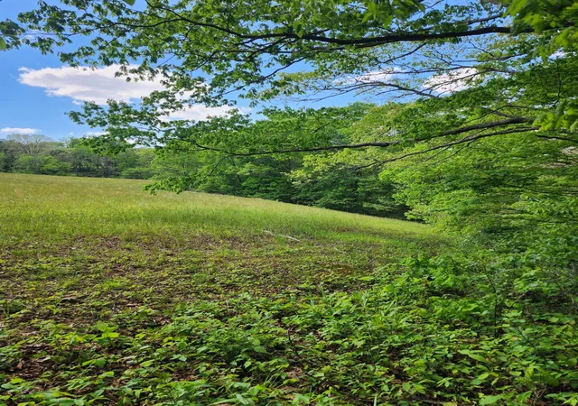 Photo 3 of Land for sale at Tbd Mount Zion Church Rd, East Bernstadt, KY 40729 | MLS# 26011419 | Listing updated on 2026-10-19