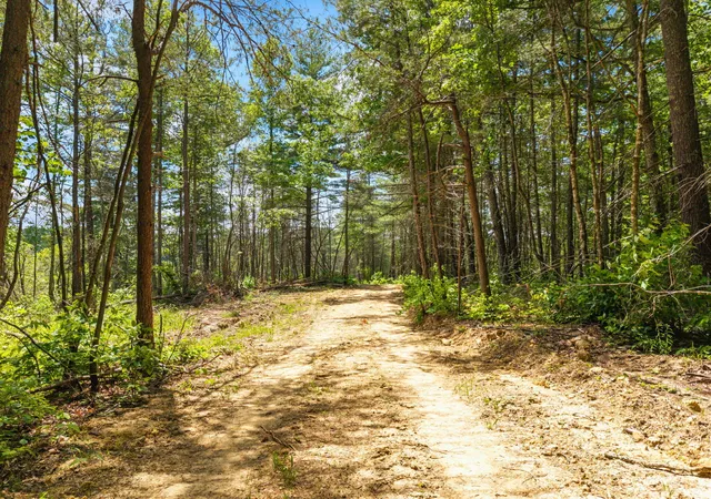 Homes for sale in Zoe, KY | Lot 256 Cedar Bluff St, Zoe, KY 41397 | MLS# 26012456