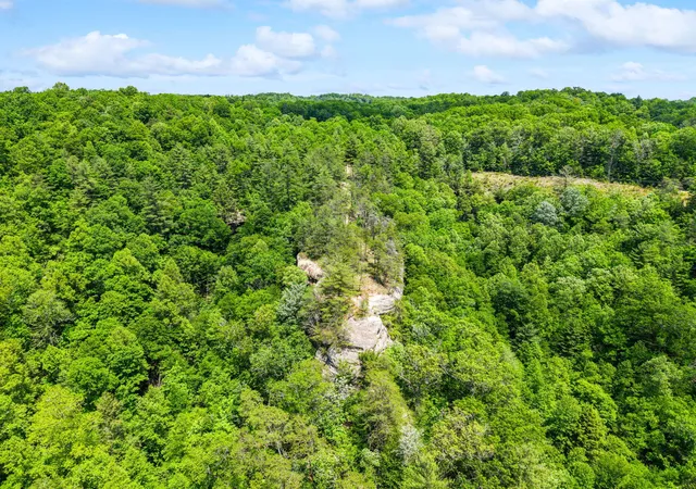 Homes for sale in Zoe, KY | Lot 256 Cedar Bluff St, Zoe, KY 41397 | MLS# 26012456