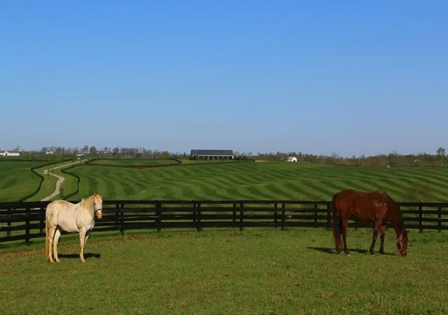 2nd image of 1455 Cane Ridge Rd, Paris, KY 40361 | MLS# 26011693