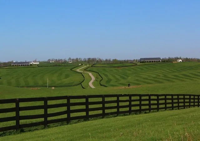 3rd image of 1455 Cane Ridge Rd, Paris, KY 40361 | MLS# 26011693