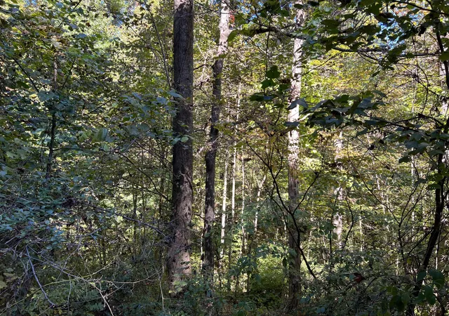 Photo 3 of Land for sale at Lot 15 Red River Valley, Slade, KY 40376 | MLS# 26011604 | Listing updated on 2026-09-03
