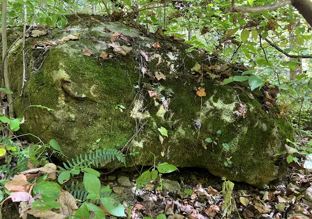 Photo 4 of Land for sale at Lot 15 Red River Valley, Slade, KY 40376 | MLS# 26011604 | Listing updated on 2026-09-03
