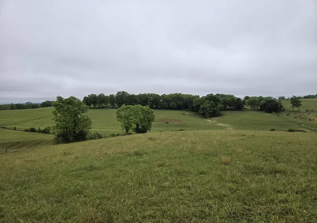 28th image of 4430 State Hwy 1194, Stanford, KY 40484 | MLS# 26011788