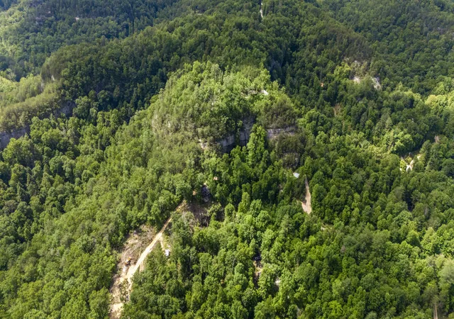 Homes for sale in Zoe, KY | Lot 93 And 94 Lairson (Indian Valley) Rd, Zoe, KY 41397 | MLS# 26011712