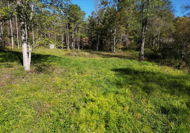 Homes for sale in Manchester, KY | 9999 Reed Branch Rd, Manchester, KY 40962 | MLS# 26011879