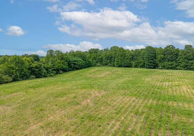 Photo 4 of Land for sale at 8825 State Hwy 1675, Somerset, KY 42501 | MLS# 26011889 | Listing updated on 2026-08-28